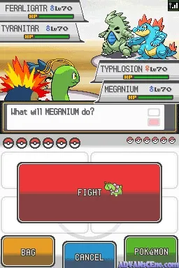 Snapshot